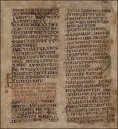 Random Manuscript Image from the Borg.copt fond