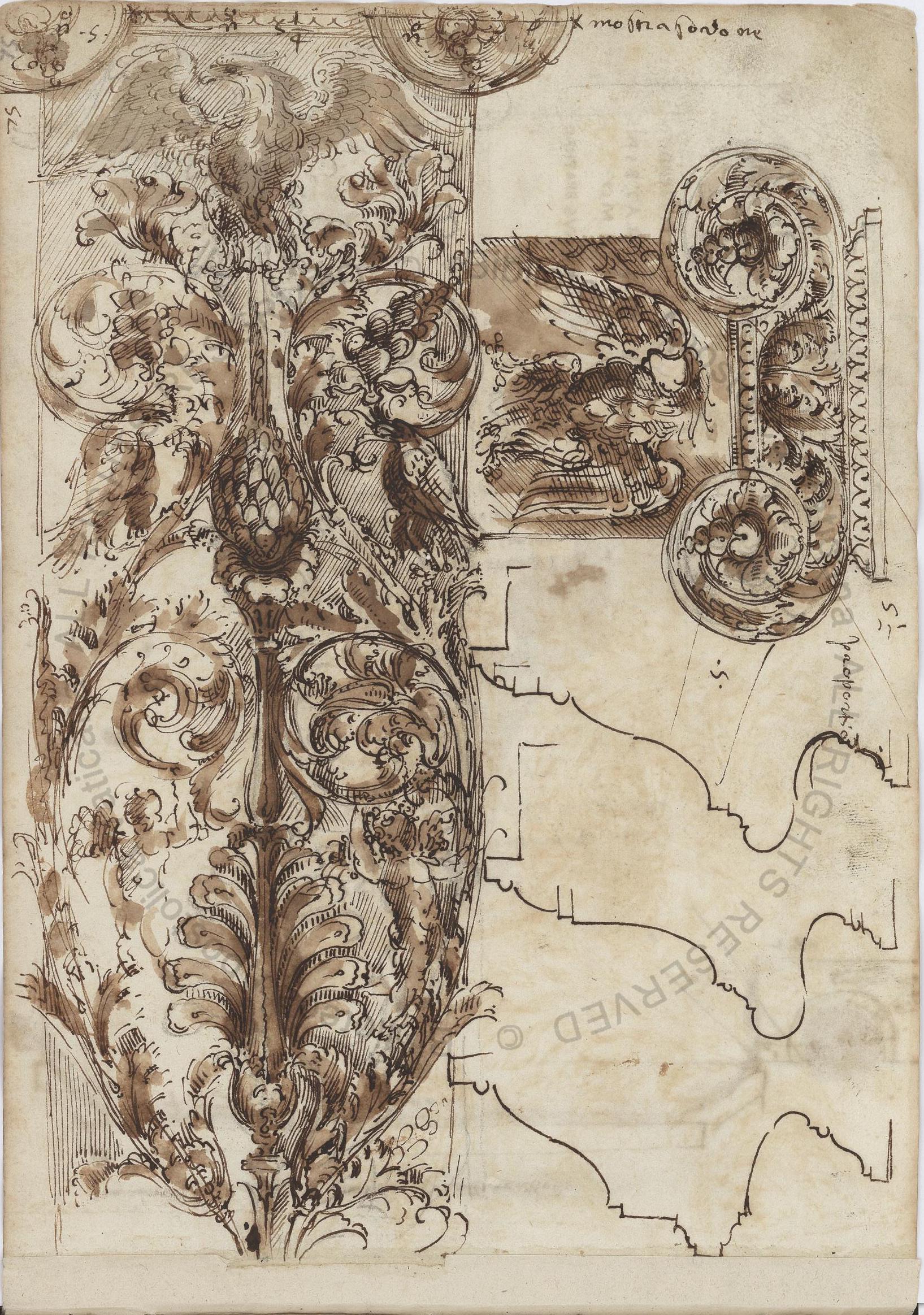 MS Image
