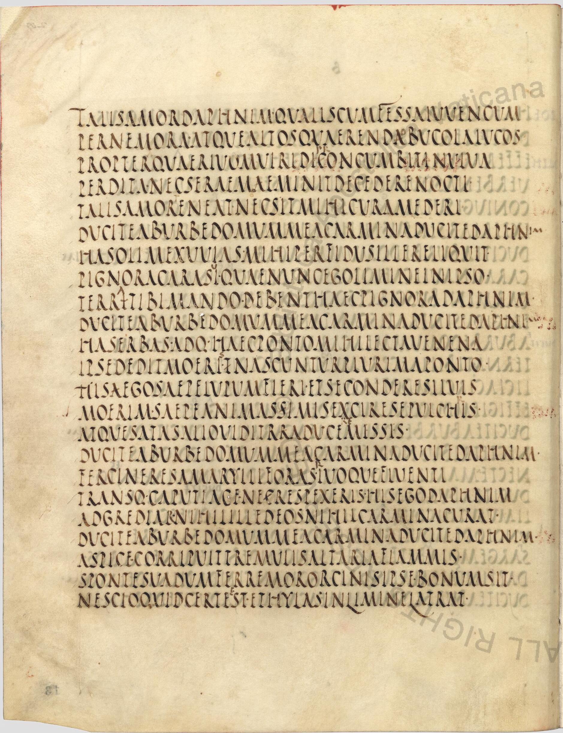 MS Image