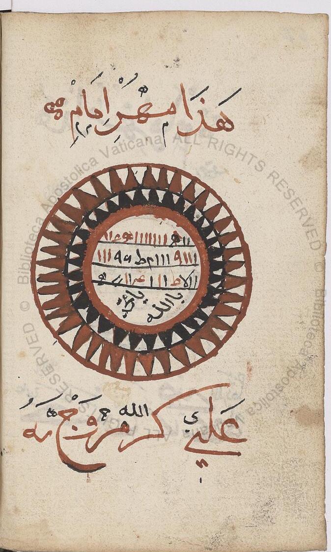MS Image