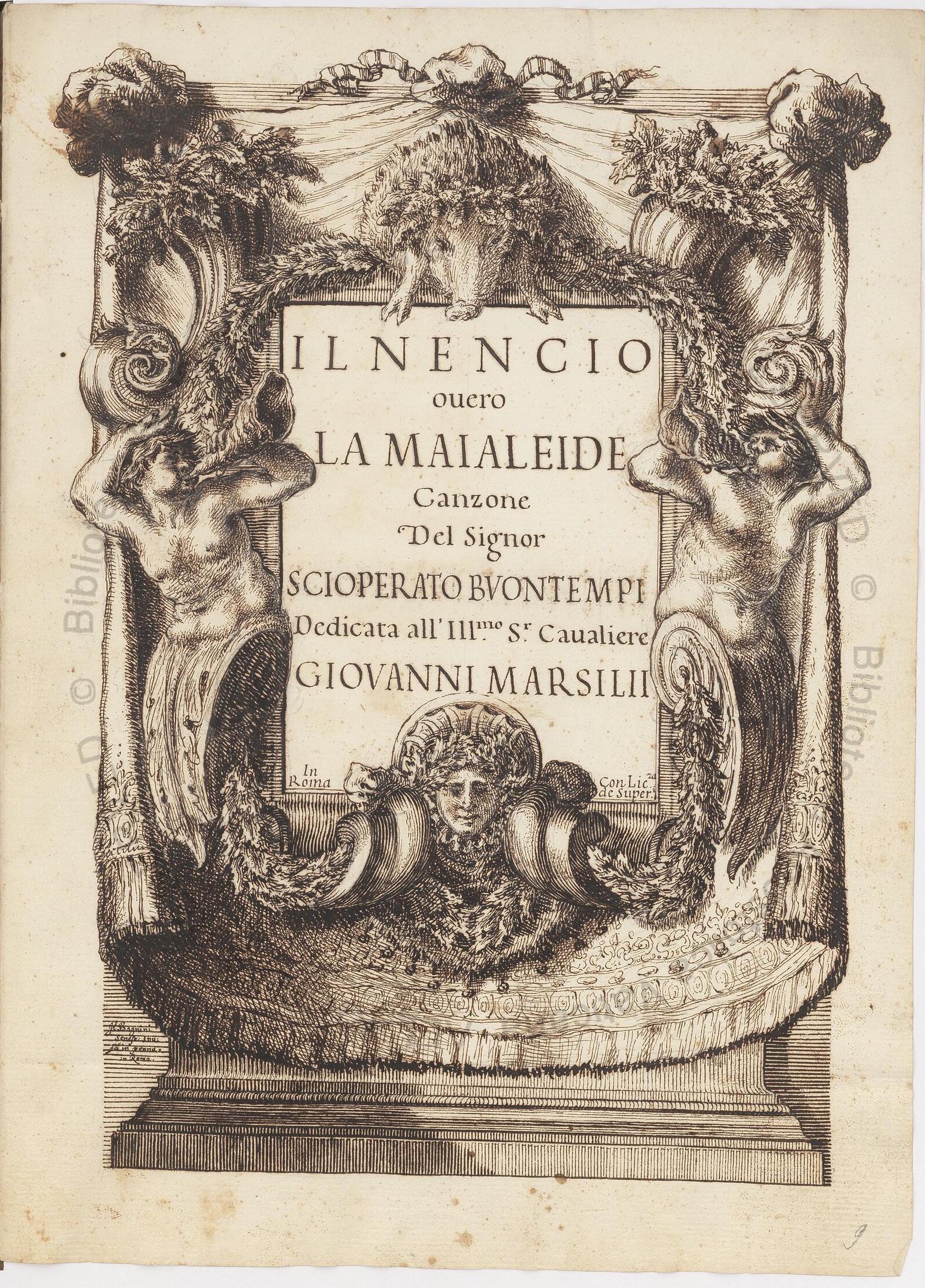 MS Image