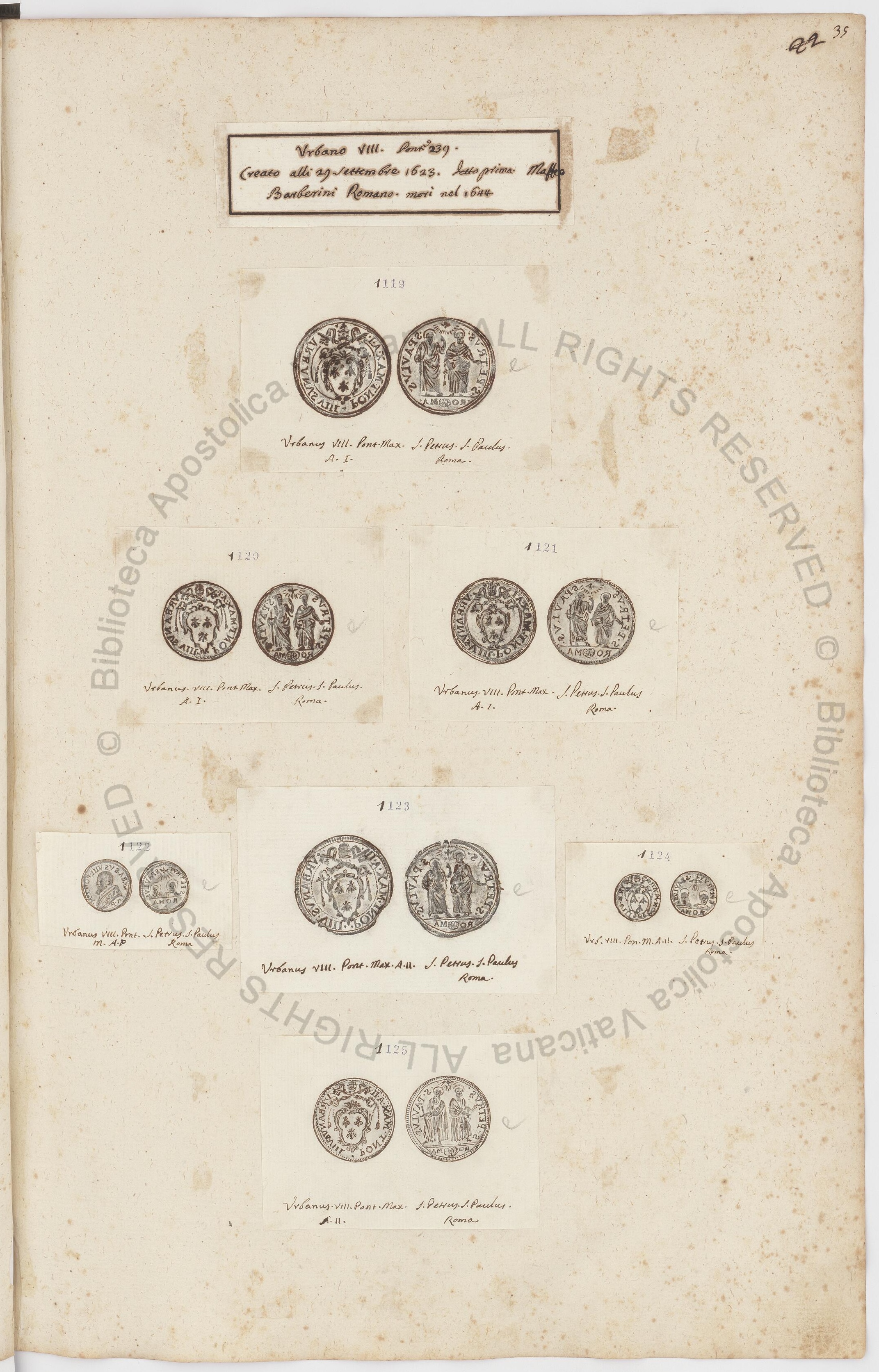 MS Image